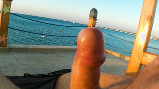 Geiler Schwanz in Hurghada