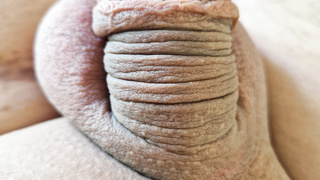 Mein kleiner beschnittener Penis möchte gerne bewertet werden