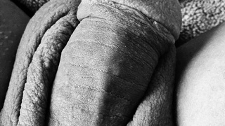 Mein kleiner beschnittener Penis möchte gerne bewertet werden