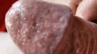 Geiler Fickschwanz möchte geblasen werden