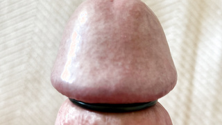 Hier mal ein paar neue Fotos - vielleicht gefällt es ja:-)