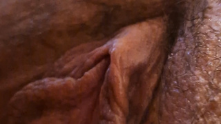 Ich habe mal wieder lust