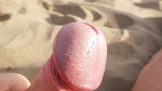 Hengsteichel am Sandstrand