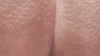 Helfe dem Osterhasen beim Eier legen aus