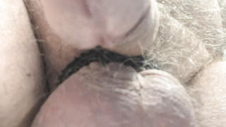 Kleiner Penis von schlaff bis steif