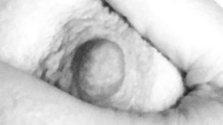 StaggerLee's 2tes Album