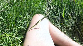 Auf der grünen Wiese