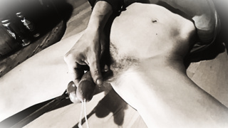 Mein Schwanz braucht das 2x am Tag