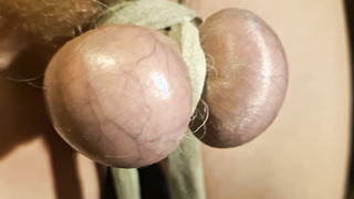 Mein Schwanz braucht das 2x am Tag