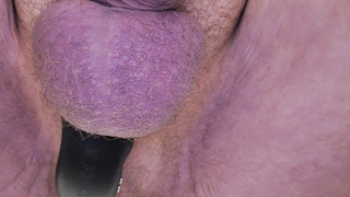 Analplug und Penisring