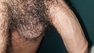 Mein haariger penis