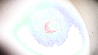 Bildergalerie von Rosi_2