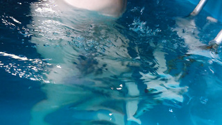 Neues von der Ehestute