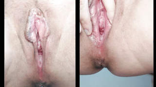 Muschi und Klitoris Fotos