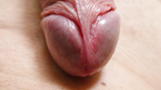 Im Homeoffice kleines Fotoshooting