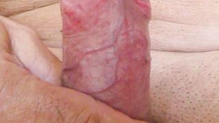 Im Homeoffice kleines Fotoshooting