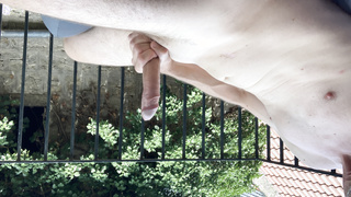 Großer Schwanz auf dem Balkon