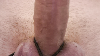 Mein Schwanz abgebunden