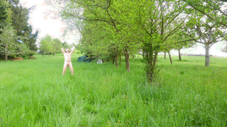 Auf der geilen  Wiese