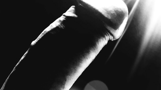 Der Erlebnis Schwanz ganz für dich