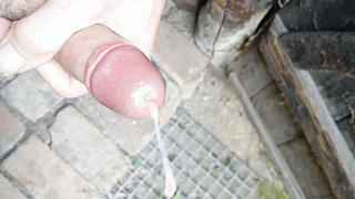 Sammelsurium  von Penisbildern.