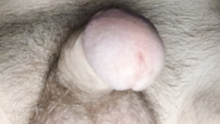 Sammelsurium  von Penisbildern.