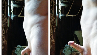 Mein Penis in vielen Varianten.