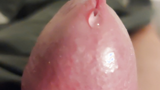 Penis Vorstellung