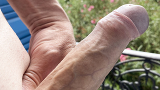 Schwanz am Fenster im Urlaub