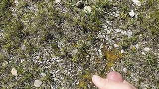 Die ersten Bilder von meinem großen Schwanz