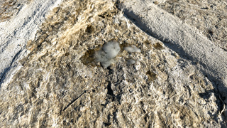 Sonne und Wärme genießen