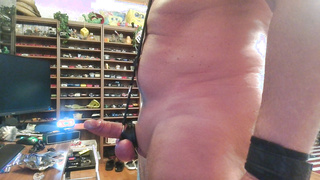 Schwanz und Eier abgebunden