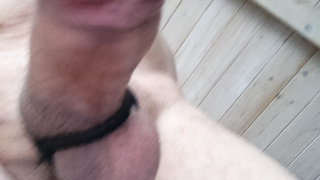 Meiner, wohin er wohl will?