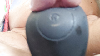 Meiner, wohin er wohl will?