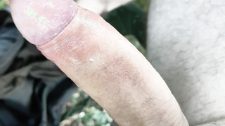 Auf der Pirsch, auf dem Hochsitz