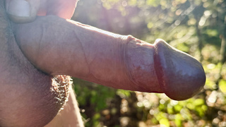 Nackt im Wald bei Sonne