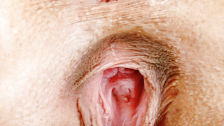 Hier ein paar Bilder