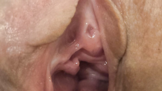 Ehestuten Vermietung