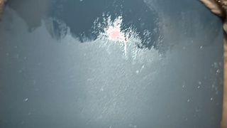 Ihr geiles Spielzeug