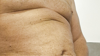 Schwanz zeigen. Sammlung.