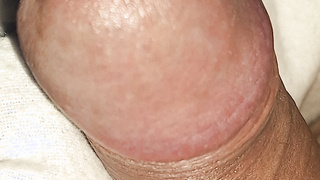 Portrait Schwanz Bilder