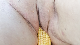 Maisernte mit der Muschi