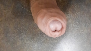 Einsatzbereiter Haariger Penis