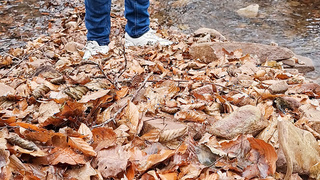 Ein paar Fotos draußen gemacht