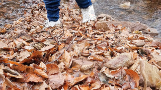 Mal ein paar Bilder draußen gemacht