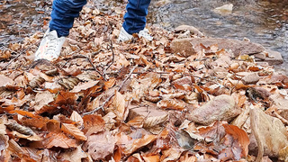 Mal ein paar Bilder draußen gemacht