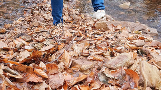 Mal ein paar Bilder draußen gemacht