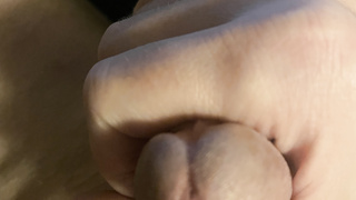 Portrait meines Penis