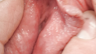 Schön geöffnete Pussy