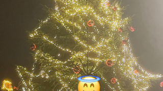 Weihnachtsmarkt besuchen